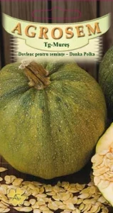 Dovleac Danka Polka (8g - 32 seminte), soi productiv pentru seminte, Agrosem